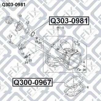 САЛЬНИК ШТОКА КПП Q-fix Q3030981