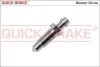 Клапан прокачки (M8x1mm) L 33,5 0090