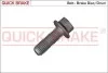 Bolt, brake caliper 11558X