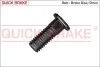 Bolt, brake caliper 11675
