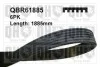 Ремень ручейковый QBR61885