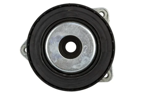 Опора амортизатора переднього MB A-Class (W169)/B-Class (W245) 04-12 (з підш.) RAISO RC05785