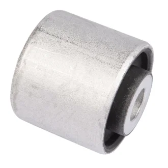 Сайлентблок переднього важеля (нижн.перед.зовнішній) Audi A4 B8/A5/A6 C6/A8 D3/Q5/VW Phaeton 02- RAISO RL-4E0181B