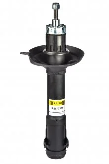 Амортизатор передній VW Passat B3/B4 88-97 (масл.) RAISO RS170381
