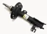Амортизатор передній лів. Fiat Croma,Opel Signum, Vectra C, Vectra C GTS 1.6-3.2 04.02- (газ.) RS312601 RS312601
