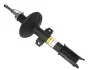 Амортизатор передній Duster (4x4) 10- (газ.) RS316289 