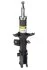 Амортизатор передній лів. Getz 02-10 (газ.) RS317598