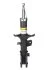 Амортизатор передній пр. Getz 02-10 (газ.) RS317599