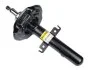 Амортизатор передній Renault Grand Scenic IV/Megane IV/Scenic IV 15- (газ.) RS3348087
