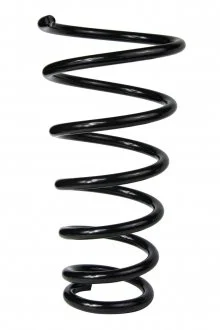 Пружина задньої підвіски Hyundai Tucson/Kia Sportage 04-10 RAISO SR060TP