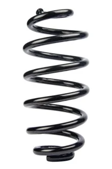 Пружина задня Audi A4 00-08 RAISO SR123TP (фото 1)