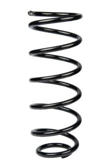 Пружина задня Kia Rio/Hyundai Accent 05- RAISO SR208TP