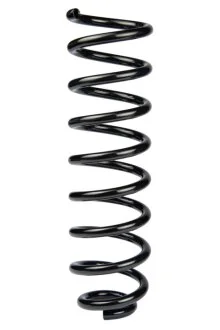 Пружина задня Scenic II 03- (373*12*103) RAISO SR245TP