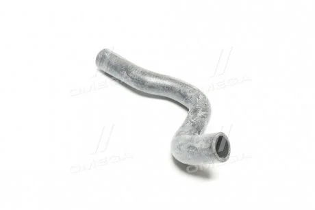 Шланг E38 RAPRO 19169 (фото 1)