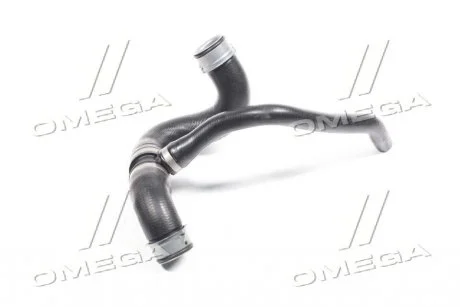 Патрубок радиатора Sprinter (W906) 06- (нижн.) RAPRO 28446 (фото 1)