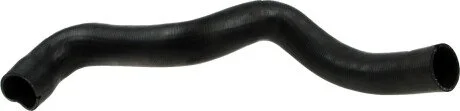 Патрубок інтеркулера Fiat Doblo 1.9JTD 01- RAPRO R11667
