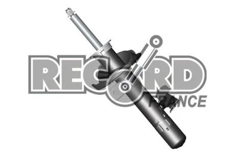 Амортизатор RECORD 334560