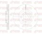 REMSA FORD Диск гальмівний передній ECOSPORT 1.0-1.5 13- 62531.10