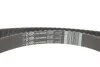 К-кт ГРМ + помпа Clio III (BR0/1,CR0/1) 1.616V 06/05 1,6 K4M801, K4M800 RENAULT 119A00397R (фото 2)
