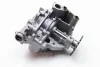Насос масляный 2.3dCi  Master III + Opel Movano B 12-> (150003601R) Renault