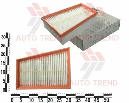 Фільтр повітряний 2,0 dci/ 2,0 16V Megane III, Scenic III 2009- RENAULT 165463884R