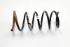 Пружина подвески задняя 4x4 Duster 2010- (550202720R) Renault