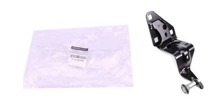 Петля дверь RENAULT 777946809R