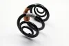 Пружина подвески задняя 4Х4 Kangoo I 2001-2009 RENAULT 8200041470 (фото 3)