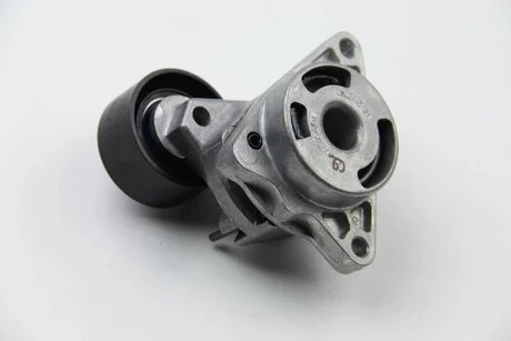 Ролик натяжний приводного ременя RENAULT 8200761529