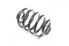 Пружина упр. RENAULT CLIO 98-05 задн. RIDER RD.28110046 (фото 3)