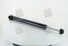 Амортизатор подв. SKODA Fabia 01-/VW Polo 01-09 задняя. (RIDER) RD.2870.343.328