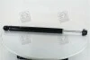 Амортизатор подв. SKODA OCTAVIA 97-/Fabia задний. RIDER RD.2870.343.348 (фото 3)