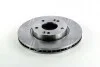 Диск тормозной KIA CEED 07-12 передний. RIDER RD.3325DF4865S (фото 1)