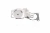 Насос водяной CHERY AMULET/A11/A15 03-, ZAZ FORZA RIDER RD.4801307010BA (фото 1)