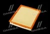 Фильтр воздушный ExtraClean OPEL RIDER REC130031 (фото 4)