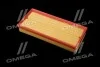 Фільтр повітряний ExtraClean Professional RIDER REC130034 (фото 3)