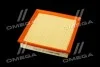 Фильтр воздушный ExtraClean FORD RIDER REC130190 (фото 2)