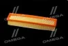 Фильтр воздушный ExtraClean DACIA RIDER REC130237 (фото 3)