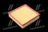 Фільтр повітряний ExtraClean Professional RIDER REC130263 (фото 1)