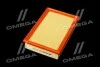 Фільтр повітряний ExtraClean FORD RIDER REC130277 (фото 2)