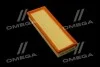 Фильтр воздушный ExtraClean  CITROEN, PEUGEOT (RIDER) REC130280