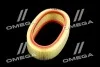 Фильтр воздушный ExtraClean DACIA RIDER REC130296 (фото 2)