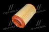 Фильтр воздушный ExtraClean PSA RIDER REC200435 (фото 2)