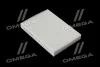 Фільтр салону ExtraClean  DACIA  (RIDER) REC610273