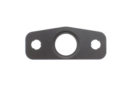 Прокладка турбіни ROTWEISS RWS3930 (фото 1)