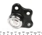 Опора шаровая Doblo 02-10 (Ch №5023343-) RTS 93-00187-056 (фото 4)