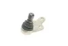 Опора кульова (передня/L) Ford C-Max/Focus 10-/Volvo V40 12- RTS 9307065256 (фото 3)