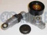 Натяжитель ремня генератора Opel Vectra 3.0 CDTi 03-08 RUVILLE 541217 (фото 1)