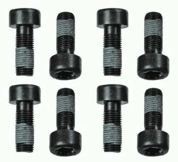 Винт сцепления SACHS 1874 000 060