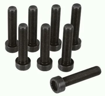 Фото 1 - болт SACHS 1874 000 063 Болт SACHS 1874 000 063 (фото 1)